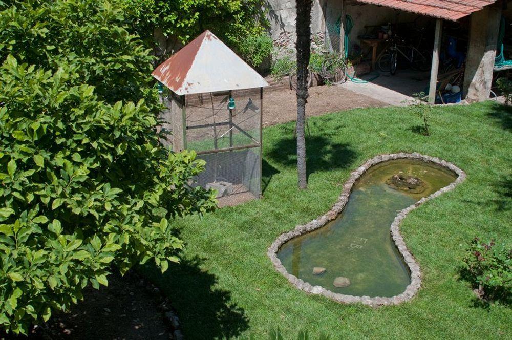 Bed and Breakfast Borgo Largo 51 Pisa Exterior foto